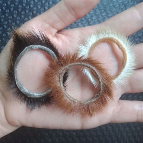 goat eyelashes ring|GOAT EYELASHES / PILIK MATA NG KAMBING ORIGINAL .